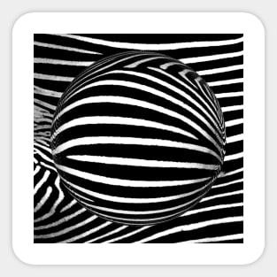 Zebra Animal Print Safari Sticker